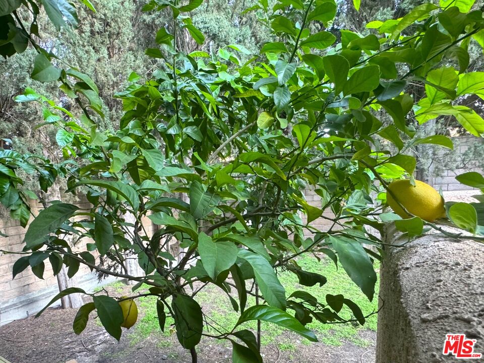19928 Chase Street, Unit 27 Winnetka, CA 91306 - Photo 15 of 18 a backyard of a house with lots of green space
