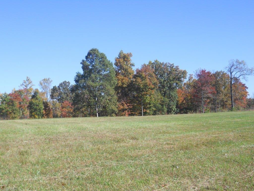 163 Manley Farm Road Reidsville, NC 27320 - Photo 16 of 30 Gallery Image 16