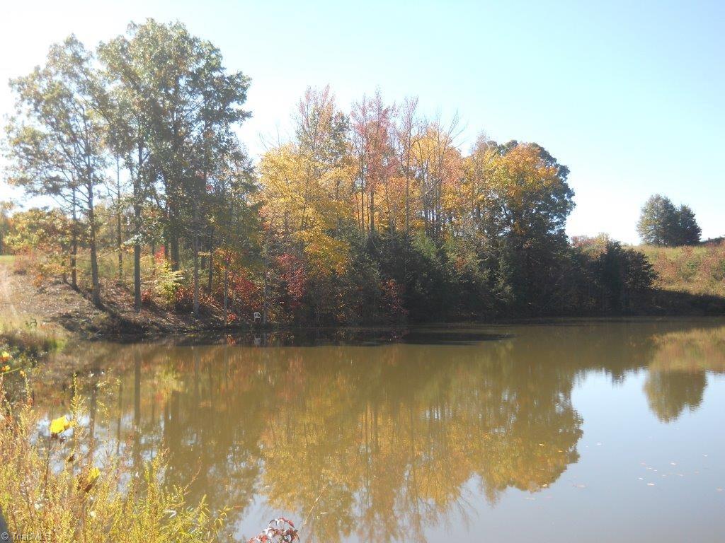 163 Manley Farm Road Reidsville, NC 27320 - Photo 17 of 30 Gallery Image 17