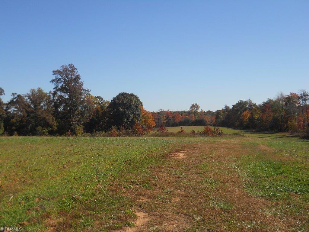 163 Manley Farm Road Reidsville, NC 27320 - Photo 18 of 30 The view goes on forever!