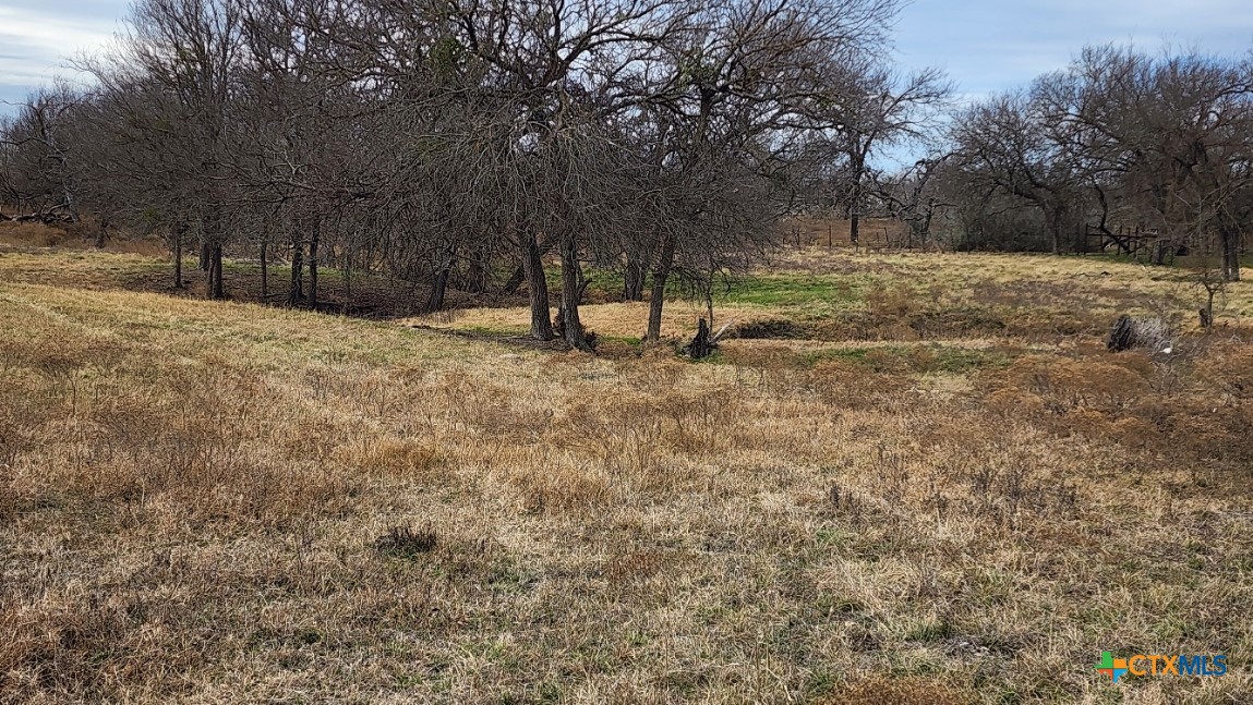 2002 Airville Road Temple, TX 76501 - Photo 6 of 41 a view of a yard with a tree