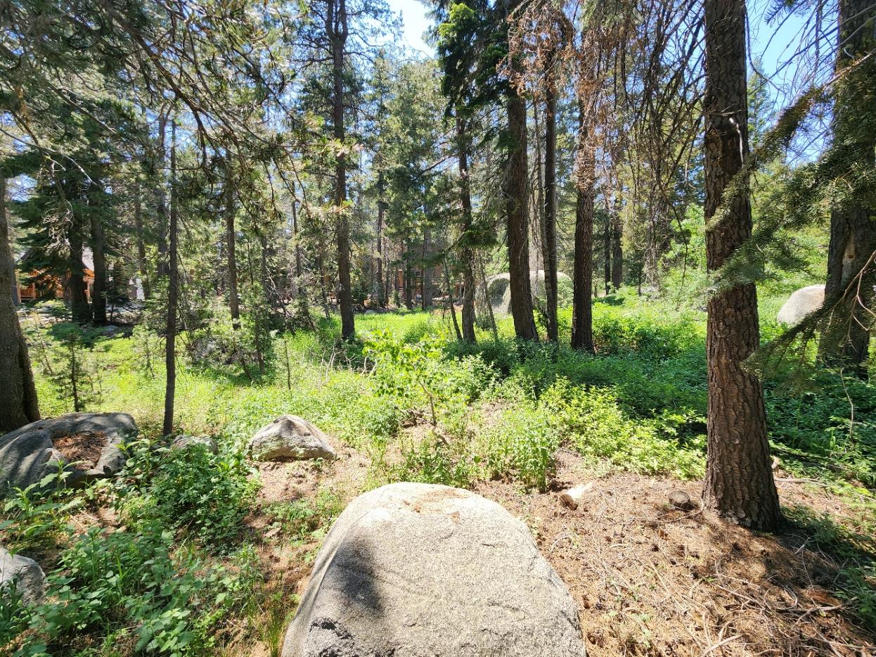 5 Monty Wolf Road Bear Valley, CA 95223 - Photo 1 of 9