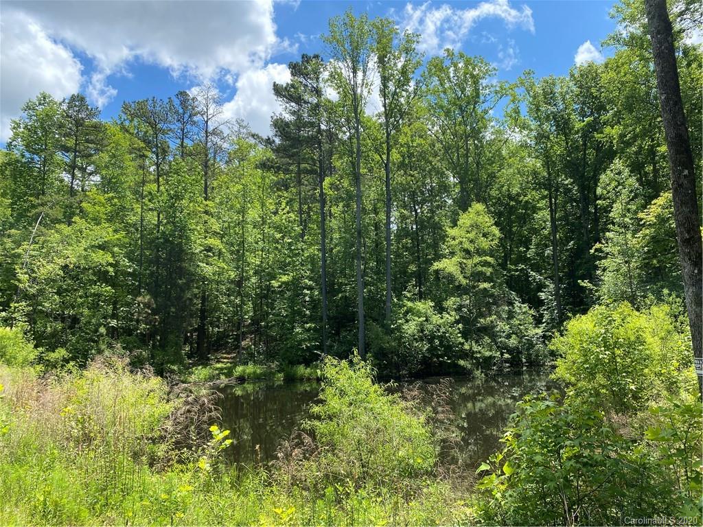 293 Laurel Hills Road Indian Land, SC 29707 - Photo 11 of 15 Gallery Image 11