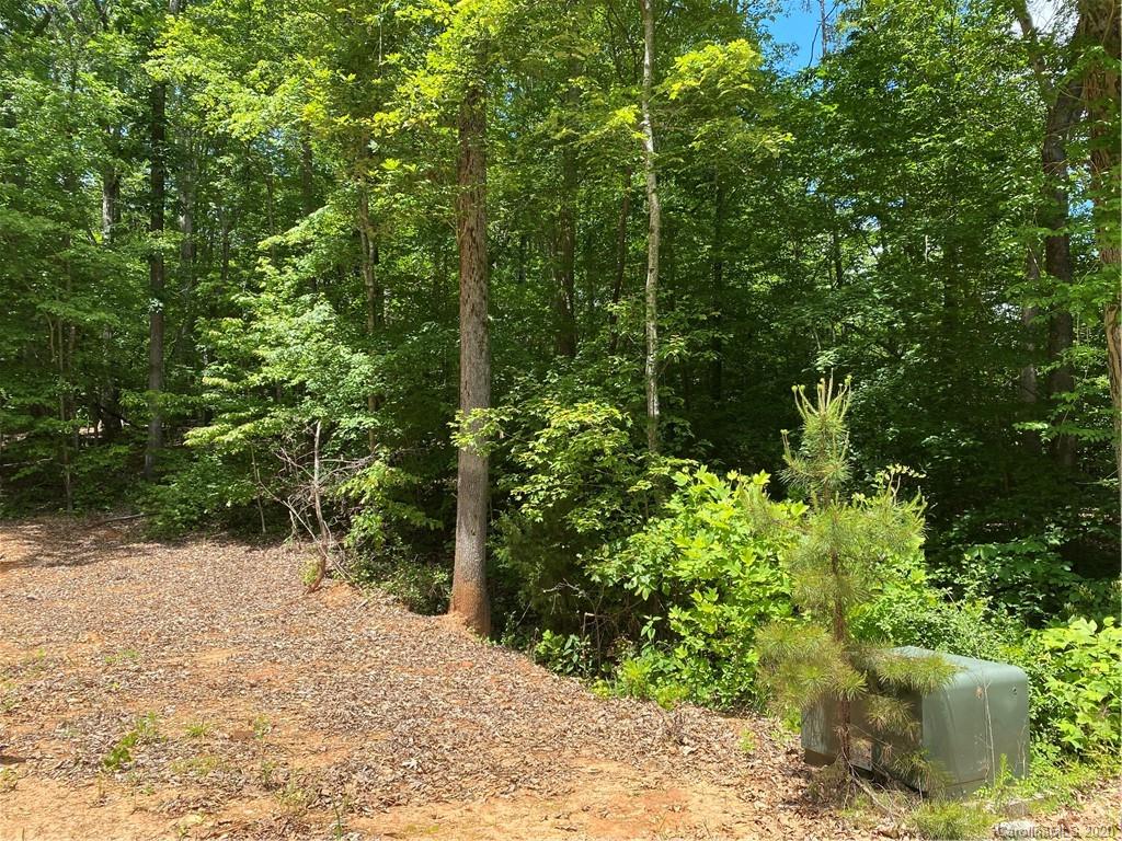 293 Laurel Hills Road Indian Land, SC 29707 - Photo 12 of 15 Gallery Image 12