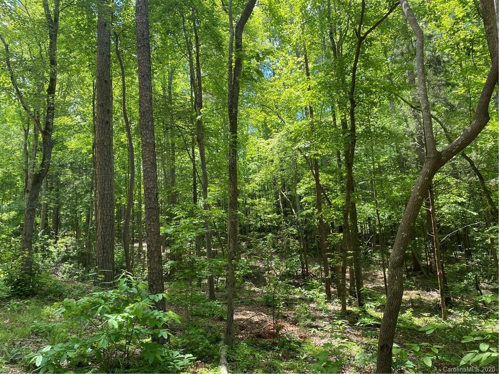 293 Laurel Hills Road Indian Land, SC 29707 - Photo 15 of 15 Gallery Image 15