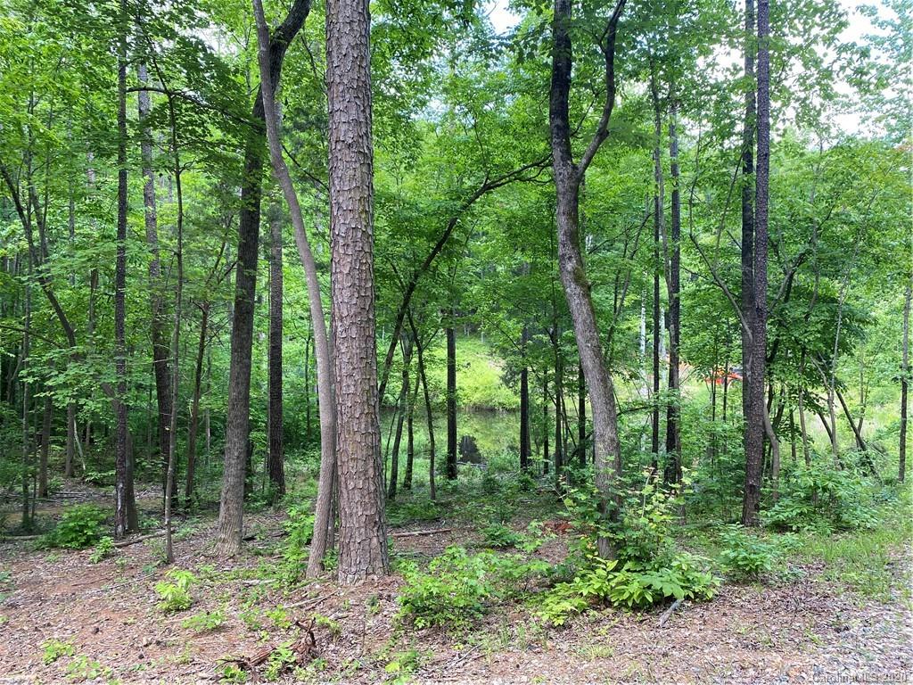 293 Laurel Hills Road Indian Land, SC 29707 - Photo 9 of 15 Gallery Image 9