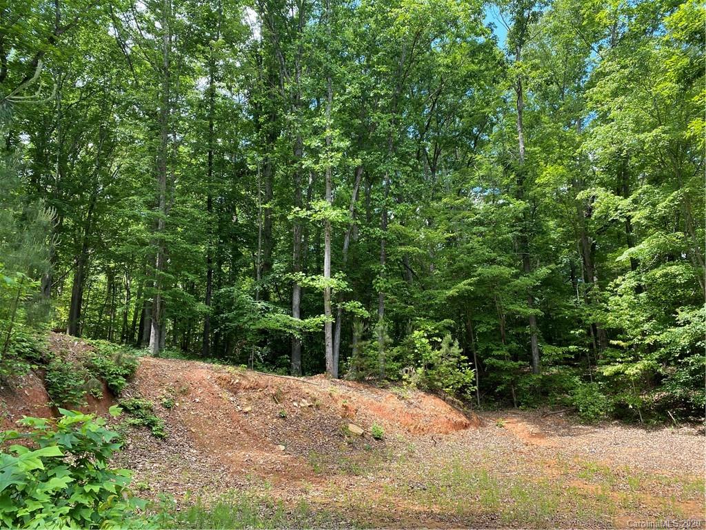 293 Laurel Hills Road Indian Land, SC 29707 - Photo 10 of 15 Gallery Image 10
