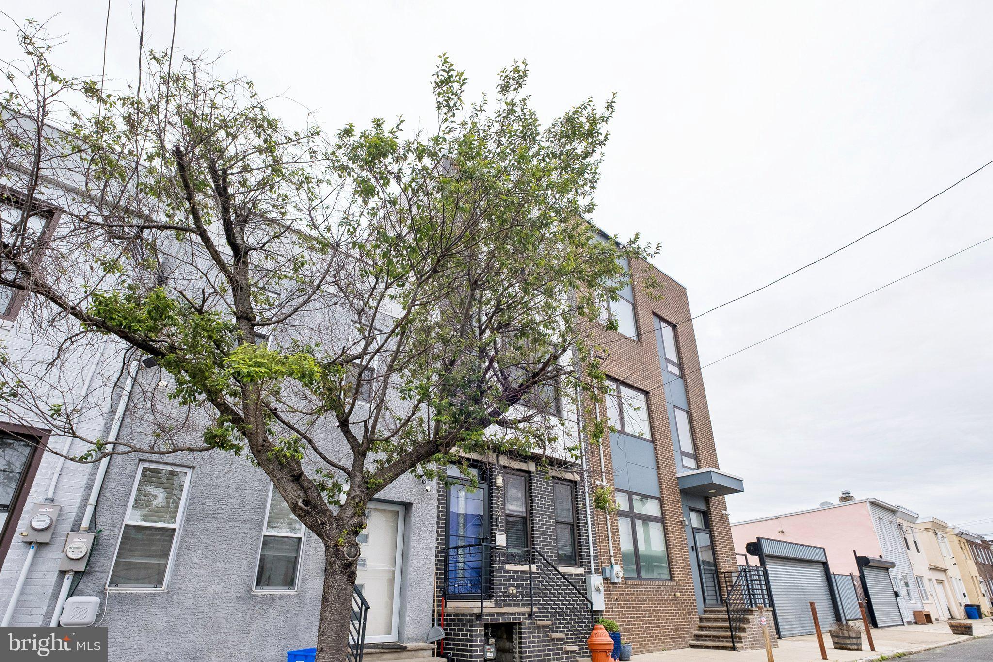 3356 Agate Street Philadelphia, PA 19134 - Photo 2 of 31 a tree in the middle of a building
