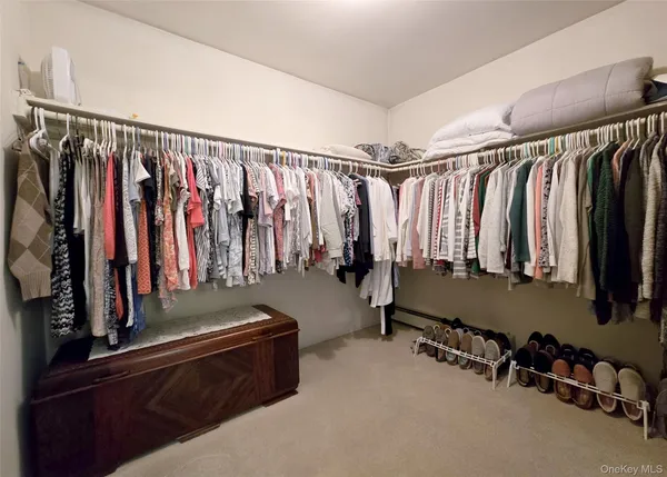a view of walk in closet with clothes and shoes