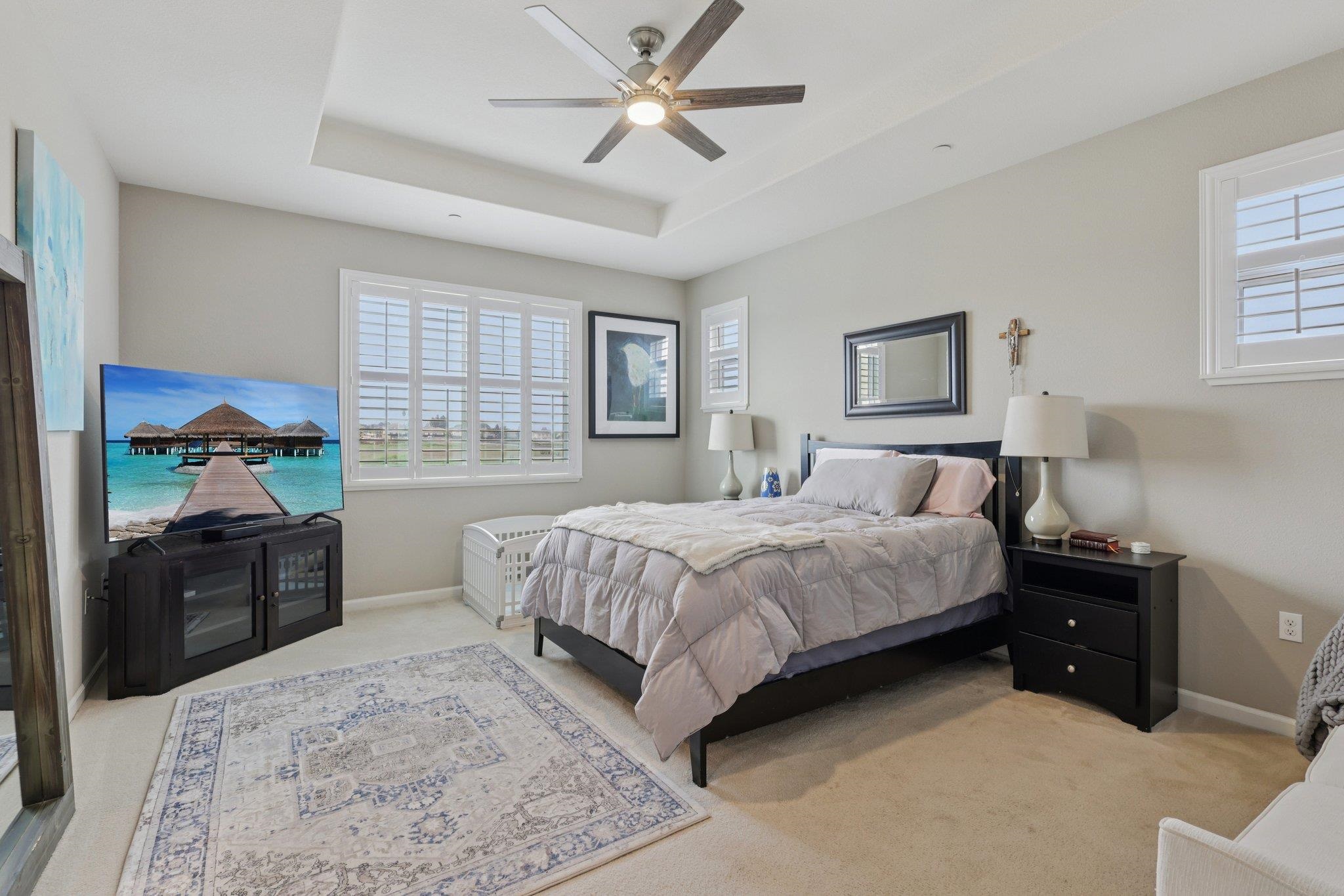 165 Little Ranch Circle Oakley, CA 94561 - Photo 29 of 60 Bedroom featuring multiple windows, a raised ceiling, and light carpet