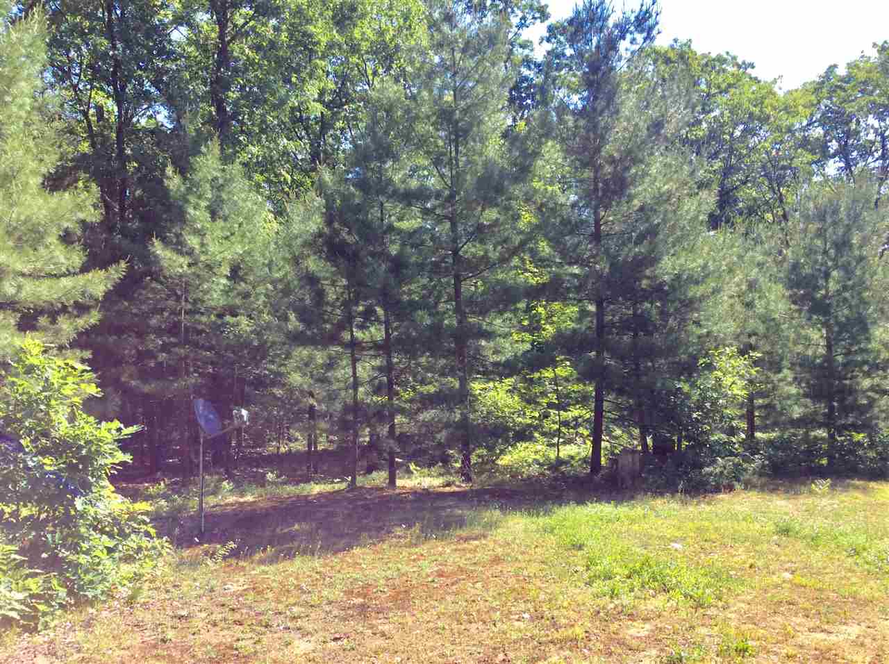 5543 Penn Lock Colony Road Interlochen, MI 49643 - Photo 9 of 63 1876069-8.JPG