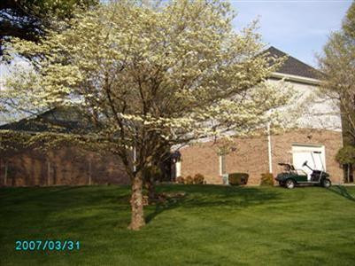 1175 Court Road London, KY 40744 - Photo 22 of 26 Photo 22