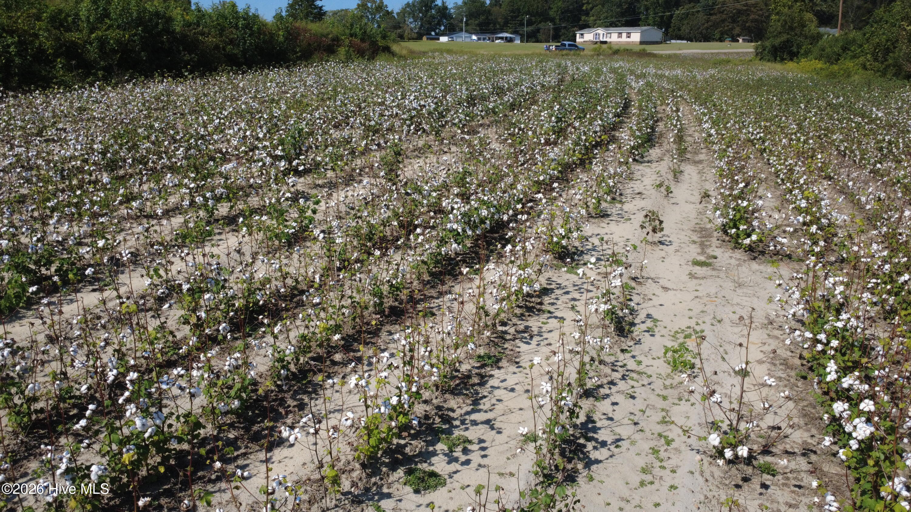 0 Ward Road Whitakers, NC 27891 - Photo 19 of 27 DJI_0515