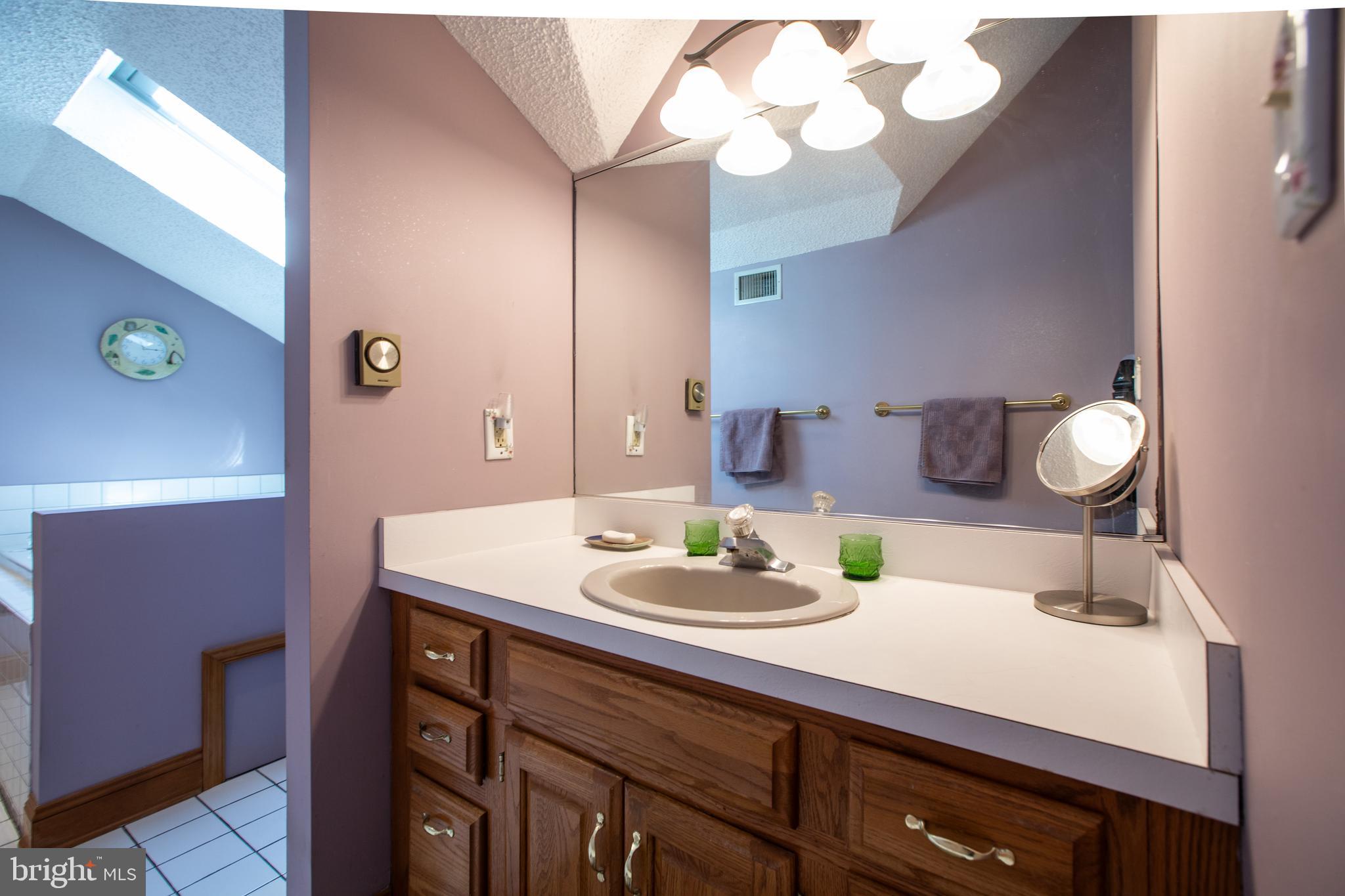 12 Millstream Road Cream Ridge, NJ 08514 - Photo 45 of 76 a bathroom with a sink and a mirror