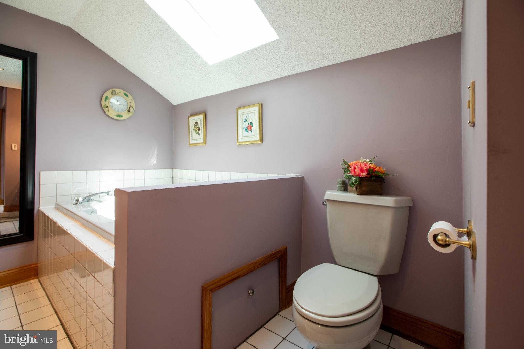 12 Millstream Road Cream Ridge, NJ 08514 - Photo 46 of 76 Primary Bathroom Soaking Tub