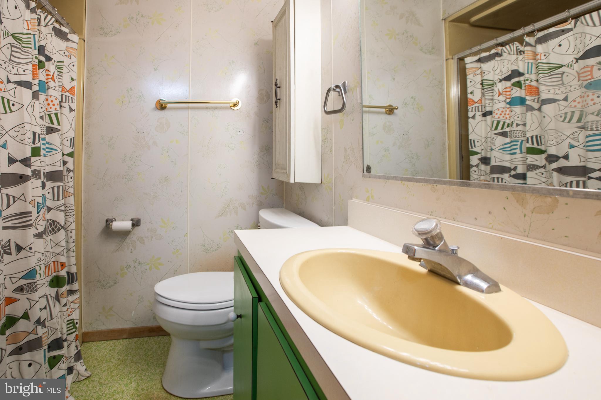 12 Millstream Road Cream Ridge, NJ 08514 - Photo 60 of 76 a bathroom with a sink a toilet and shower curtain