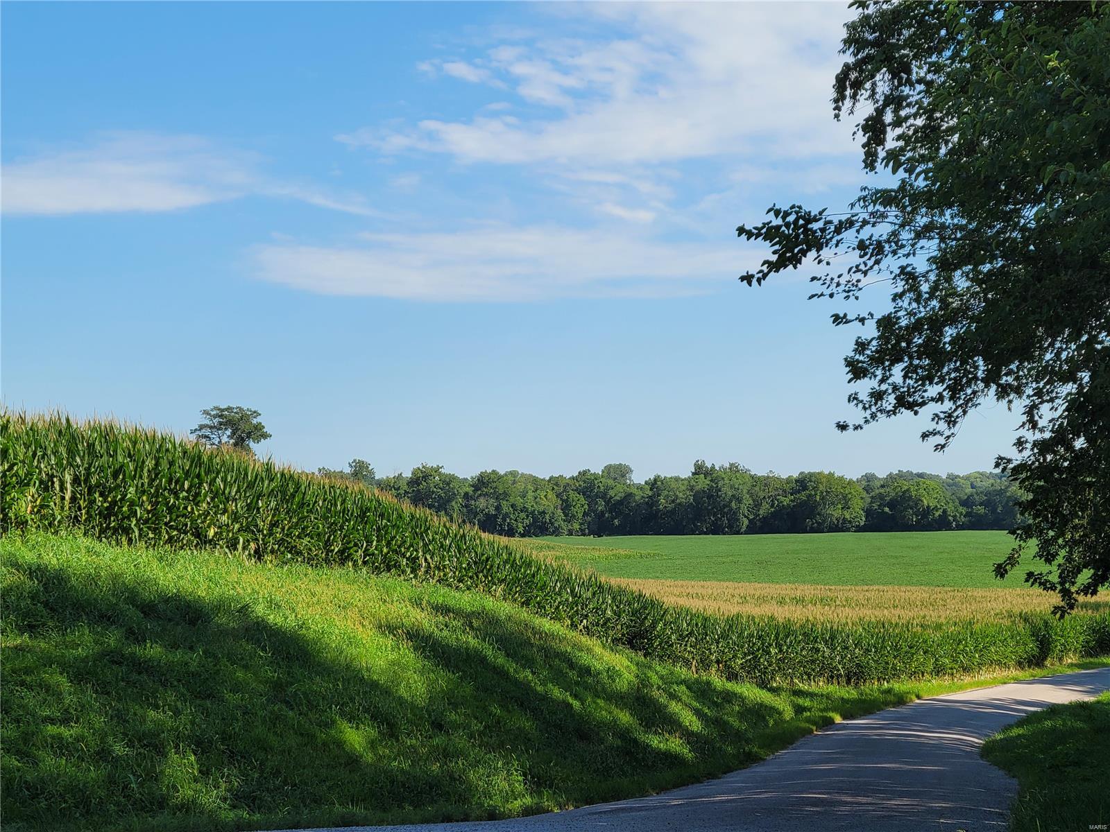 8103 Wood Station Road Alton, IL 62002 - Photo 34 of 43