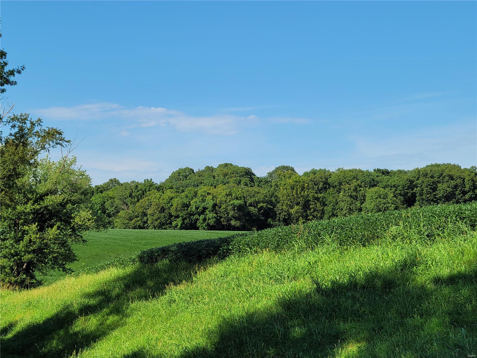 8103 Wood Station Road Alton, IL 62002 - Photo 35 of 43