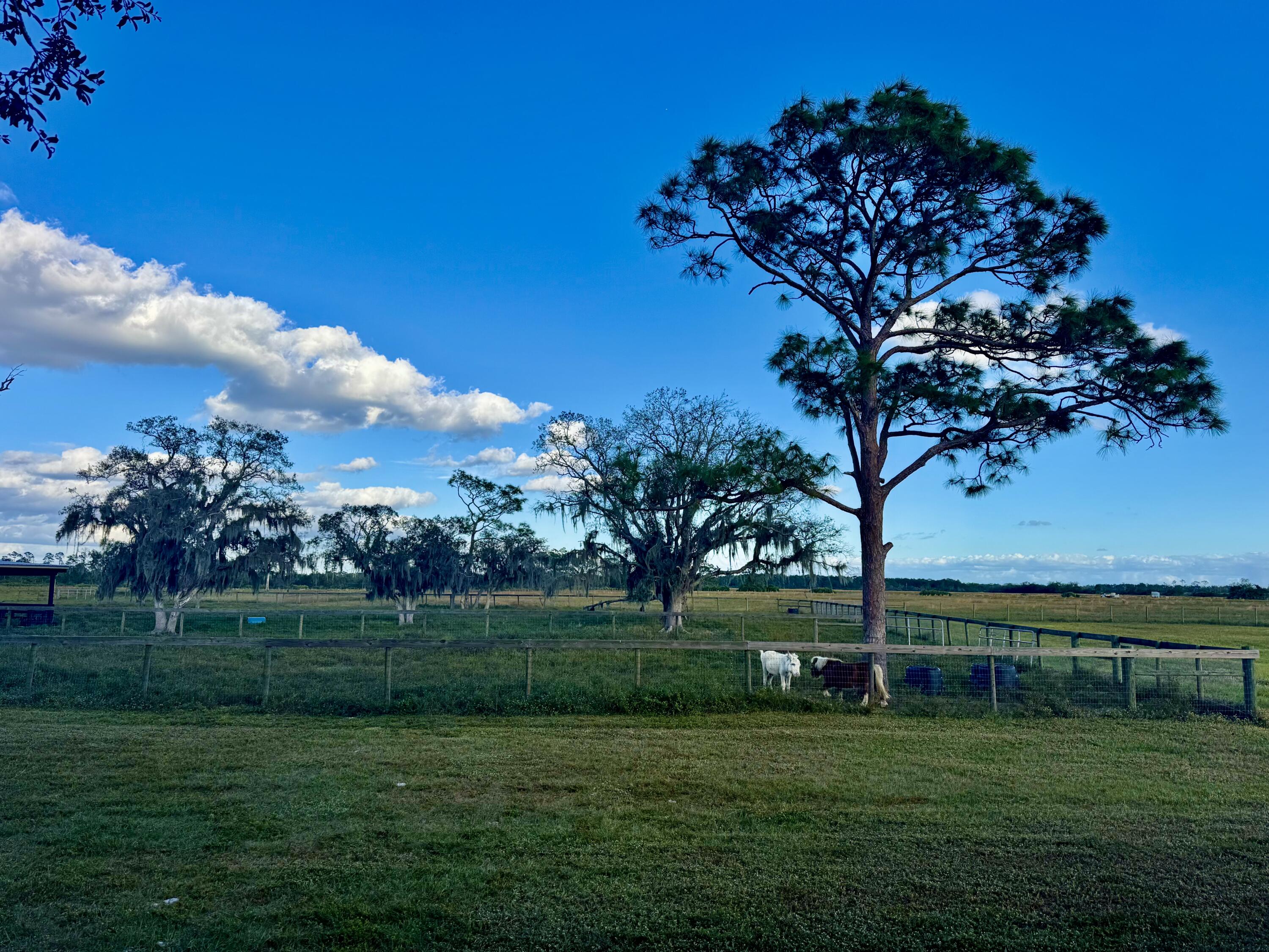 14151 Center Street Okeechobee, FL 34974 - Photo 16 of 16 a view of a golf course with a garden