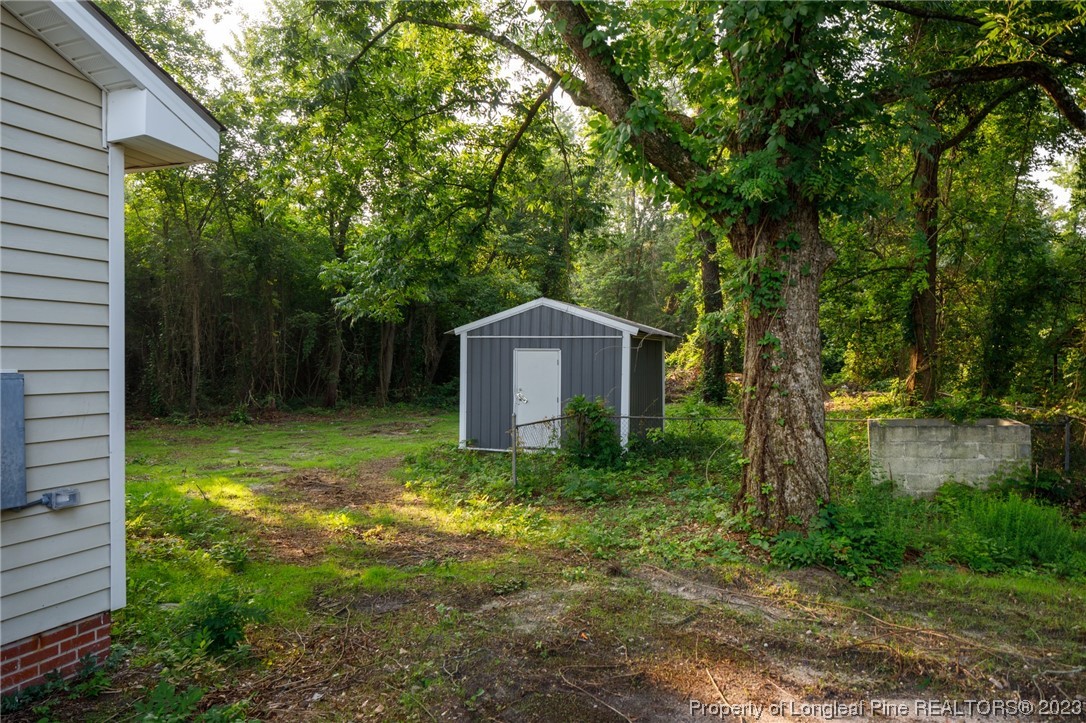 5348 Goldsboro Road Wade, NC 28395 - Photo 24 of 25 a backyard of a house with lots of green space