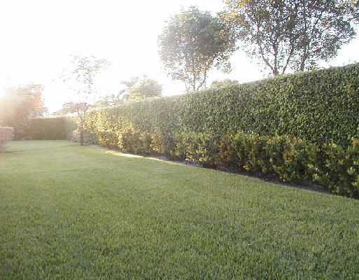 18141 Boca Way Drive Boca Raton, FL 33498 - Photo 2 of 4 Additional Photo