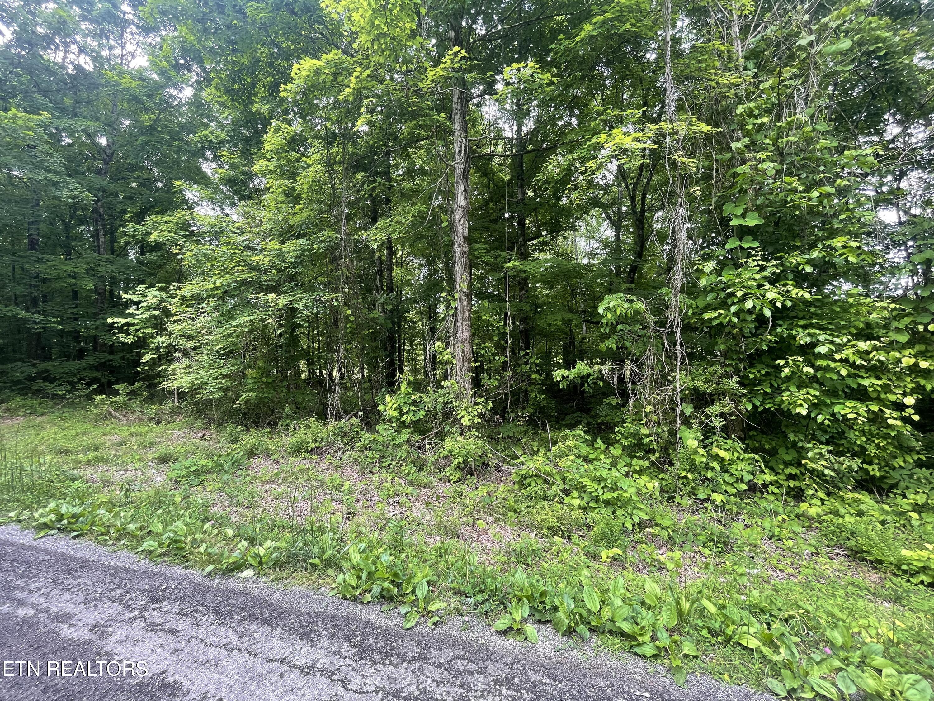 0 Co Road Decatur, TN 37322 - Photo 1 of 3 IMG_1025