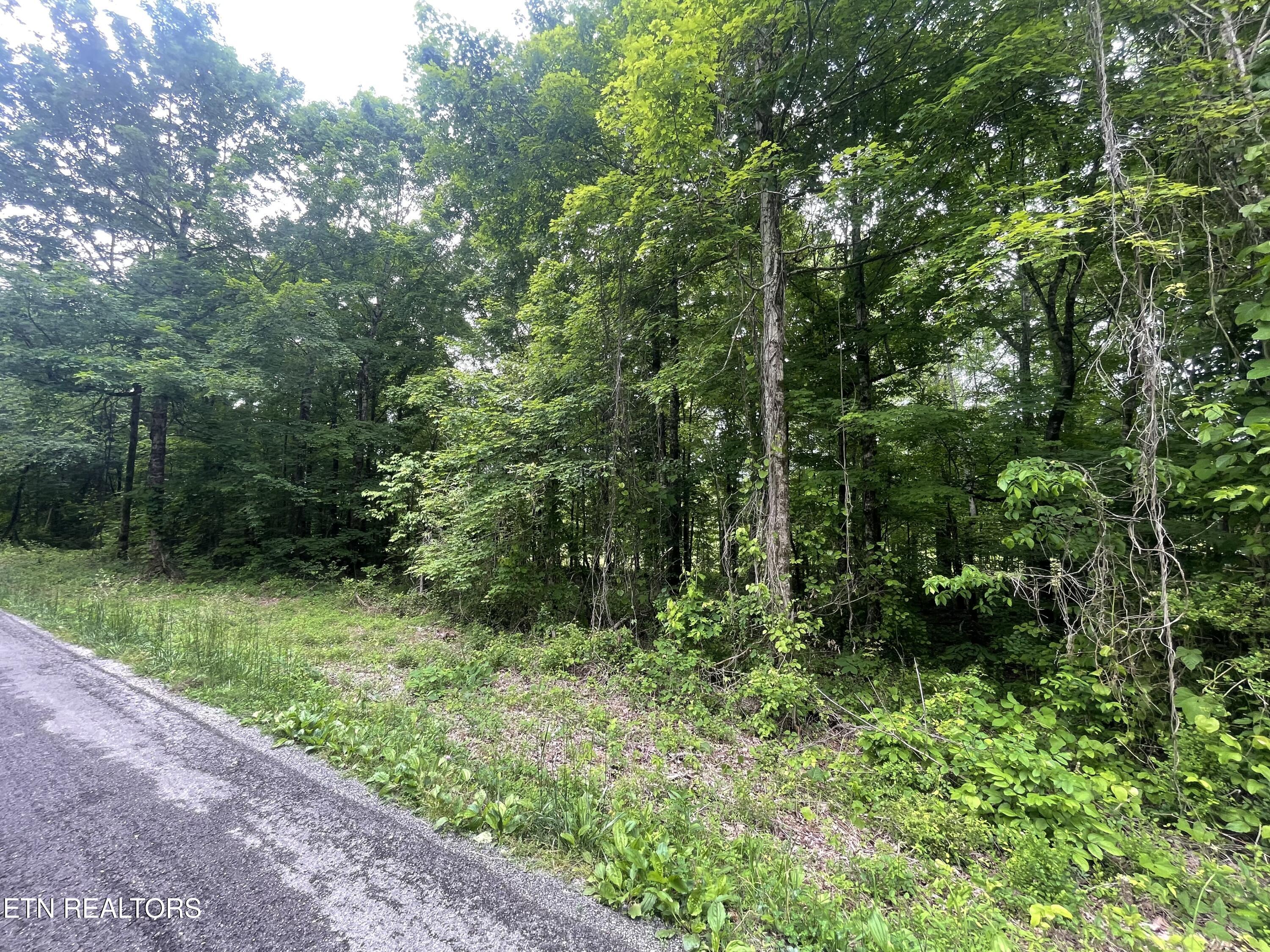 0 Co Road Decatur, TN 37322 - Photo 2 of 3 IMG_1026