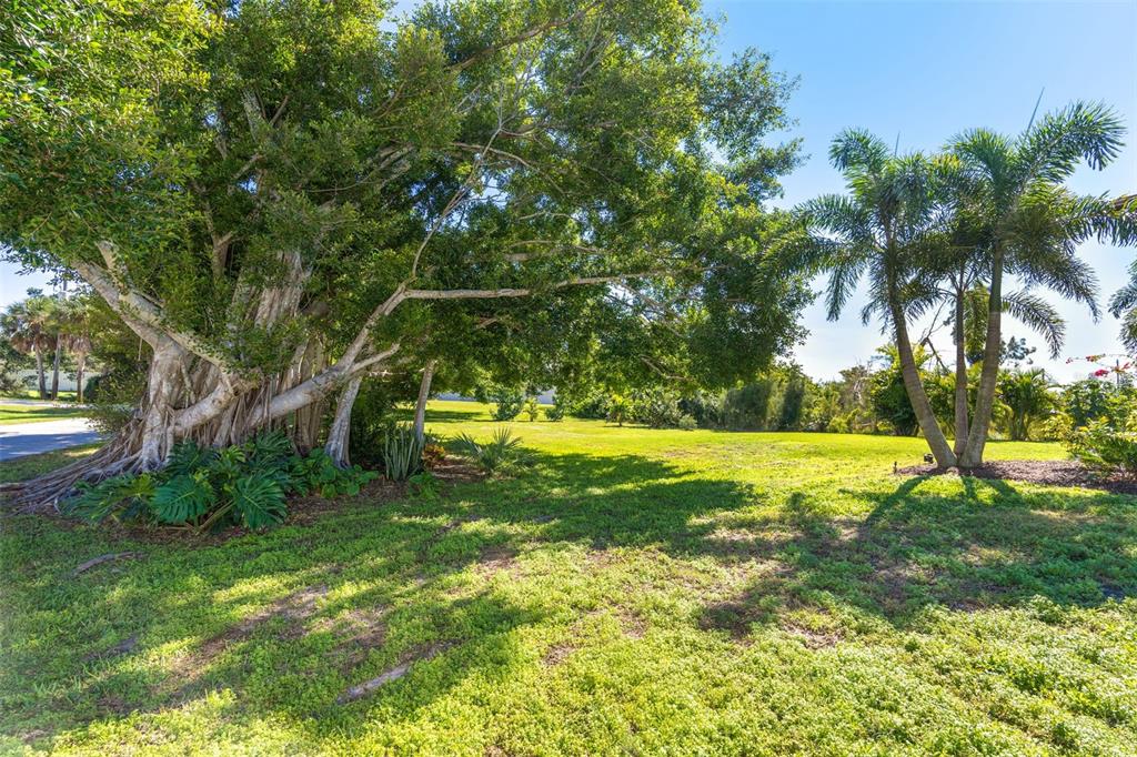 85 Spaniards Road Placida, FL 33946 - Photo 41 of 53 a view of a yard with a large trees