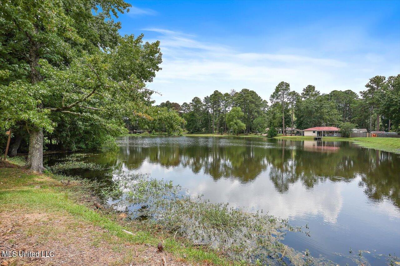 1680 Florence-Byram Road Florence, MS 39073 - Photo 2 of 31 04-1680 Florence-Byram Rd
