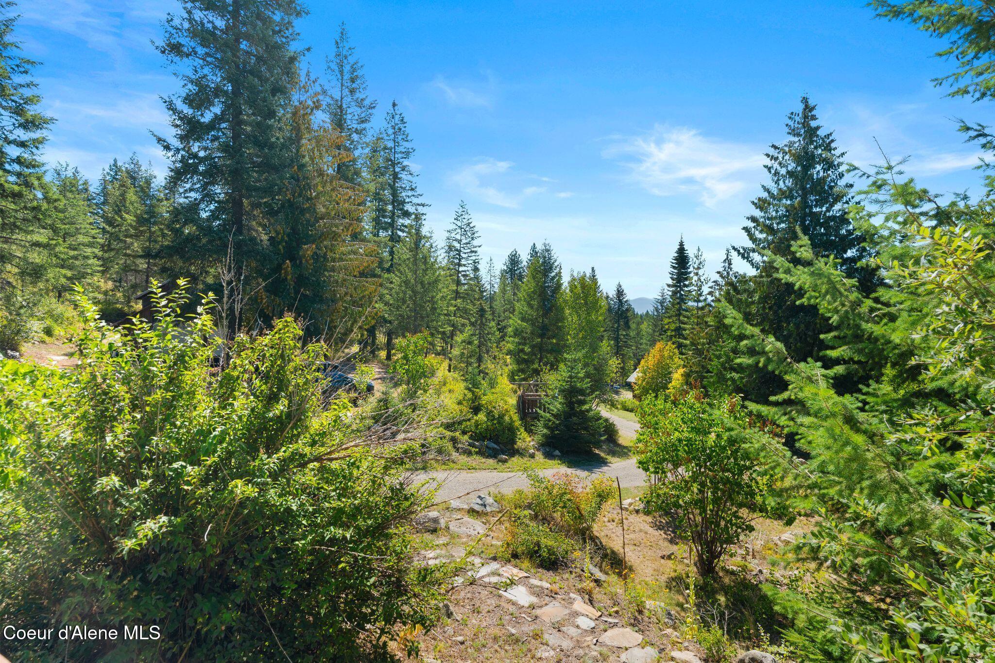 13259 Baldy Mountain Road Sandpoint, ID 83864 - Photo 29 of 50 29_A7402507