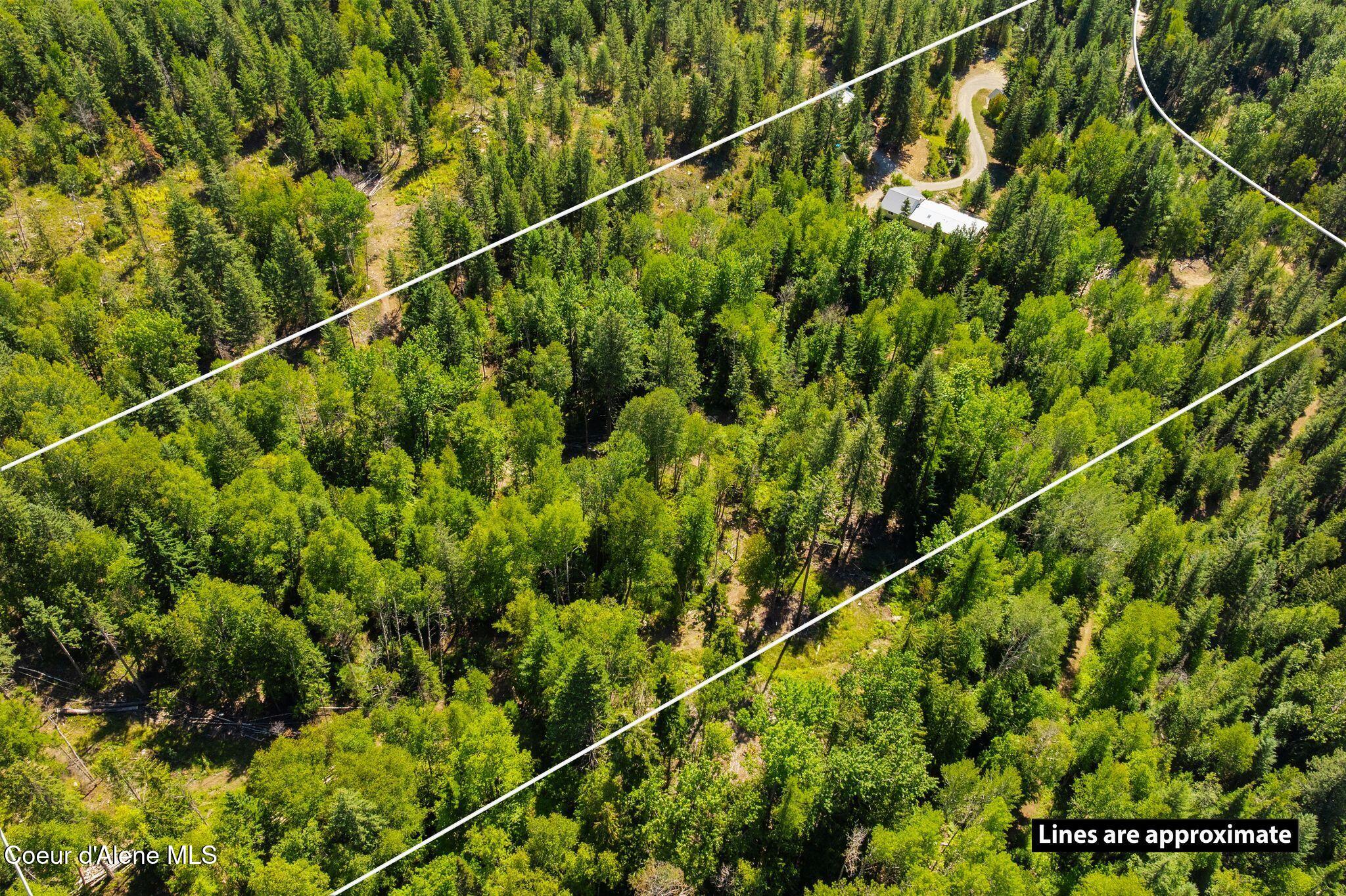 13259 Baldy Mountain Road Sandpoint, ID 83864 - Photo 4 of 50 4_DJI_20250822030017_0891_D PLOTLINE