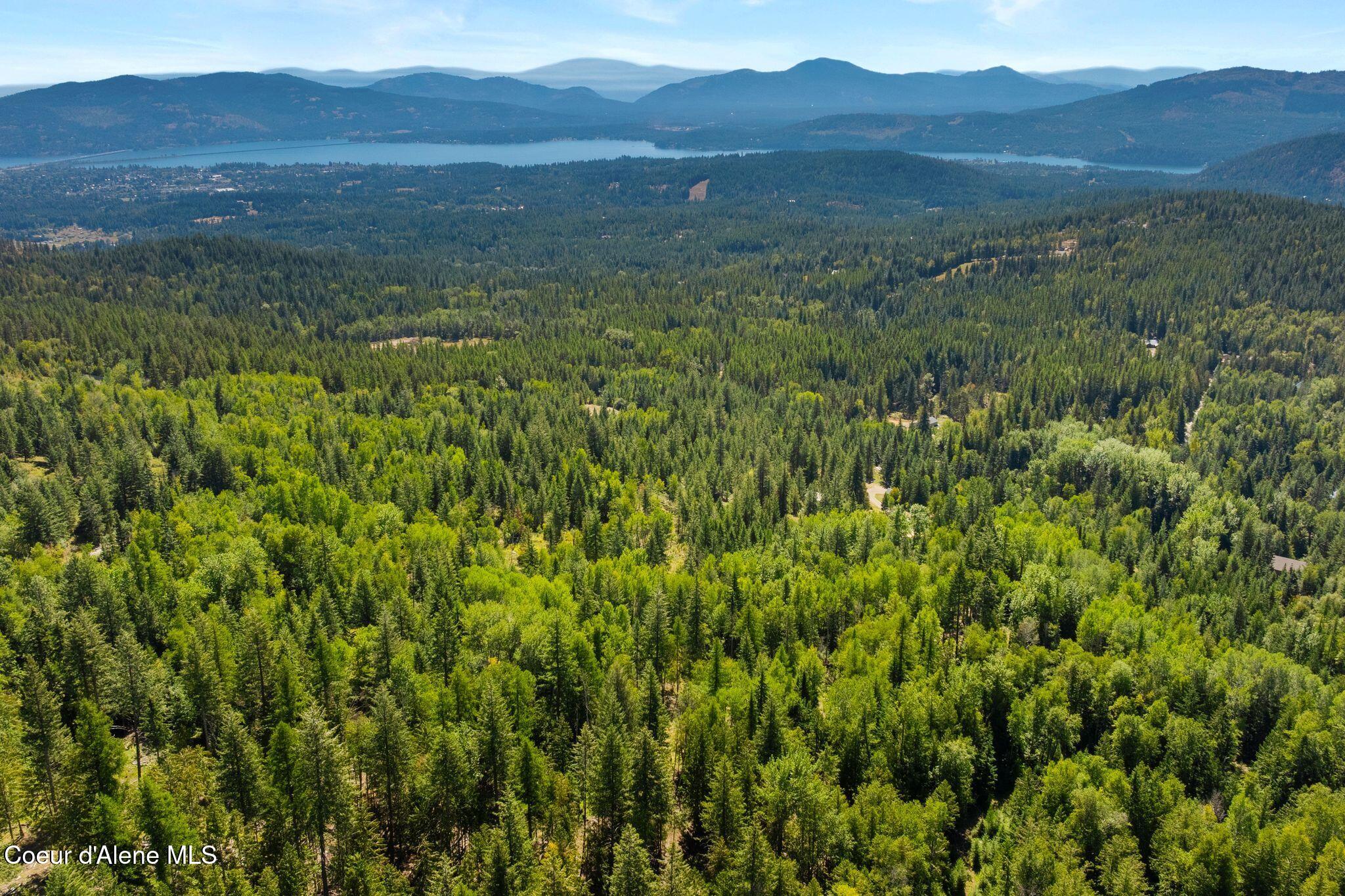 13259 Baldy Mountain Road Sandpoint, ID 83864 - Photo 42 of 50 42_DJI_20250822025922_0887_D