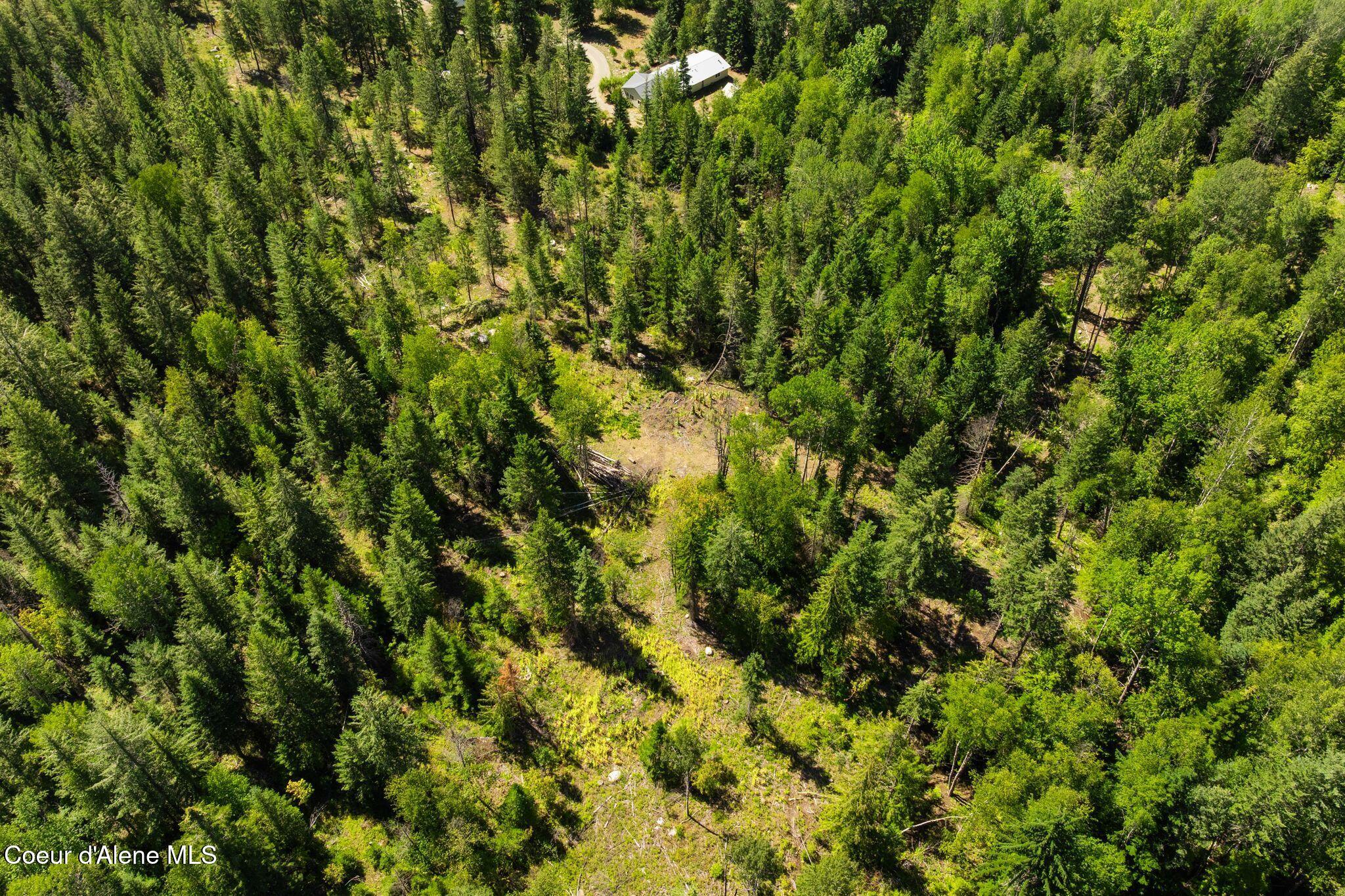 13259 Baldy Mountain Road Sandpoint, ID 83864 - Photo 43 of 50 43_DJI_20250822030049_0903_D