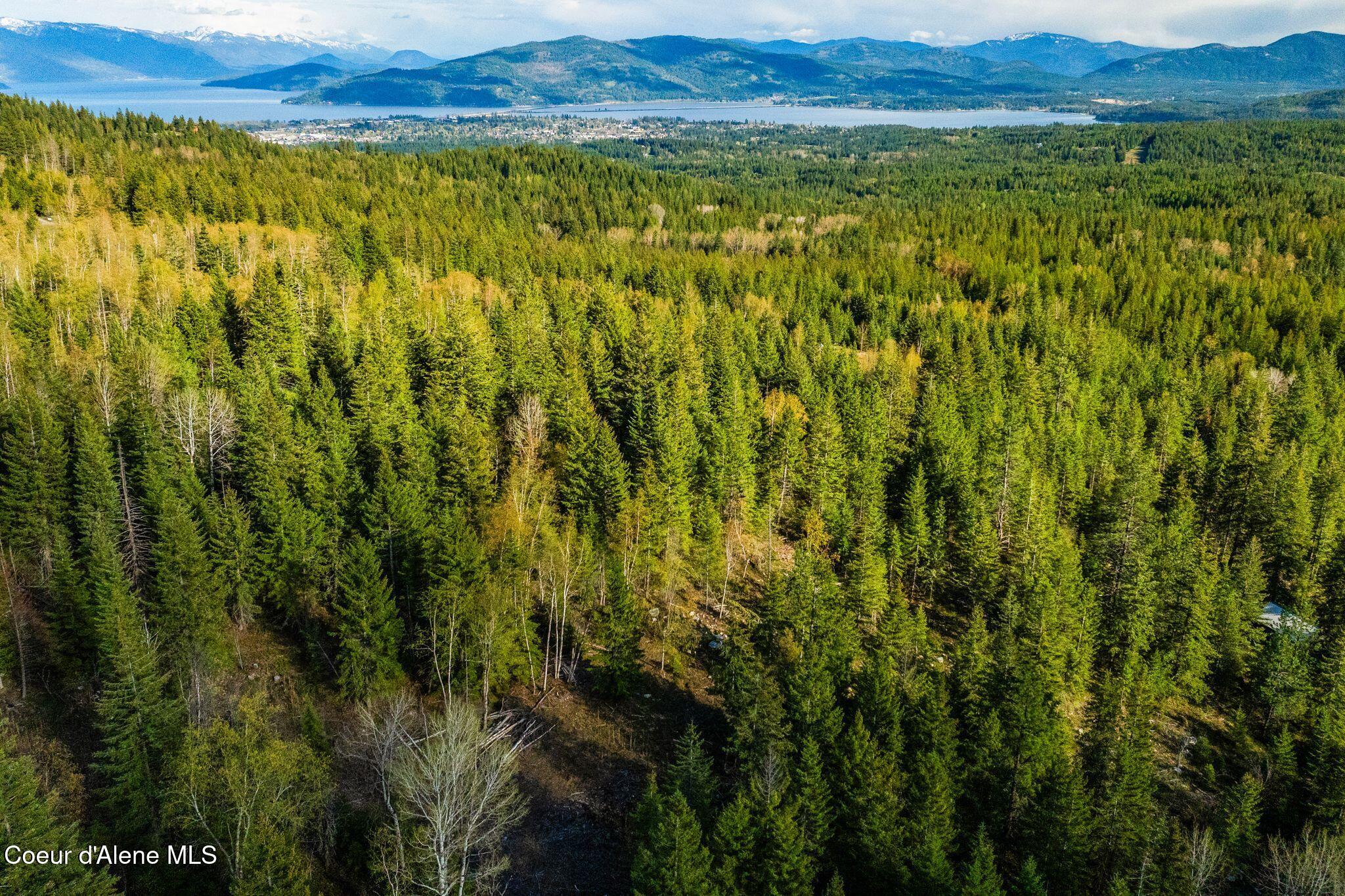 13259 Baldy Mountain Road Sandpoint, ID 83864 - Photo 44 of 50 44_DJI_20260428081632_0226_D