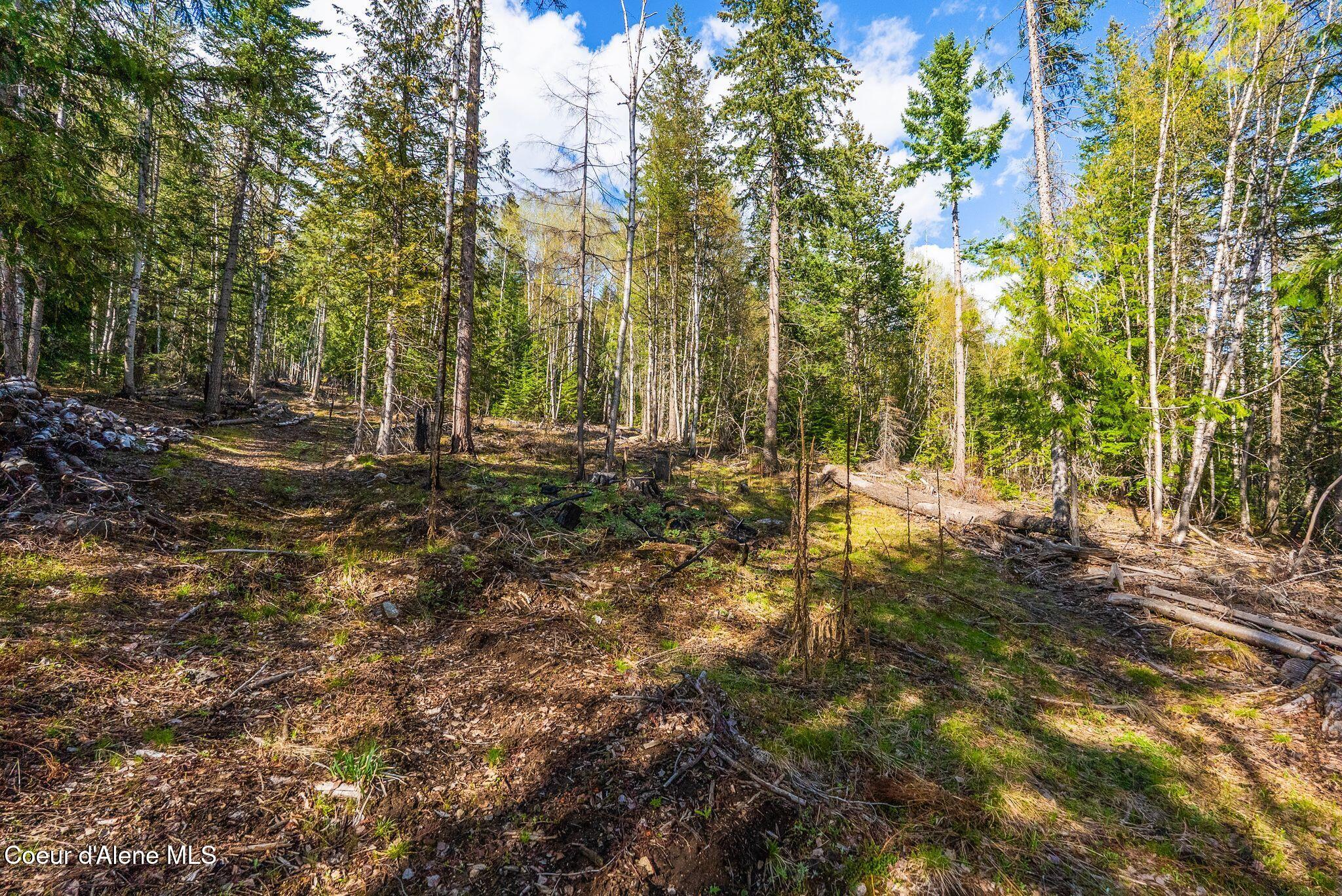 13259 Baldy Mountain Road Sandpoint, ID 83864 - Photo 46 of 50 46_DSC06760