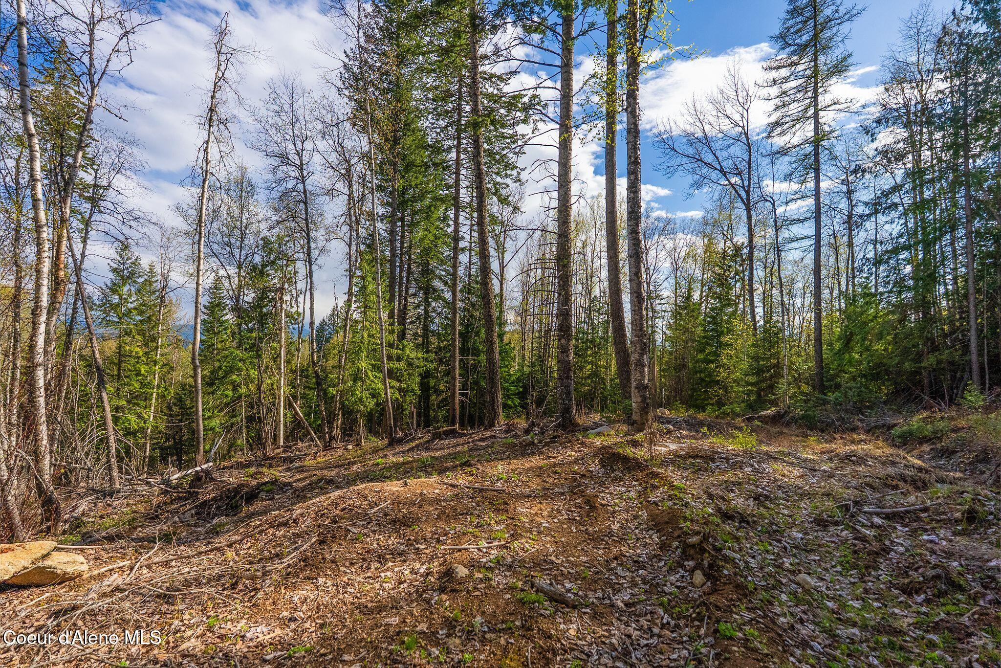 13259 Baldy Mountain Road Sandpoint, ID 83864 - Photo 47 of 50 47_DSC06744