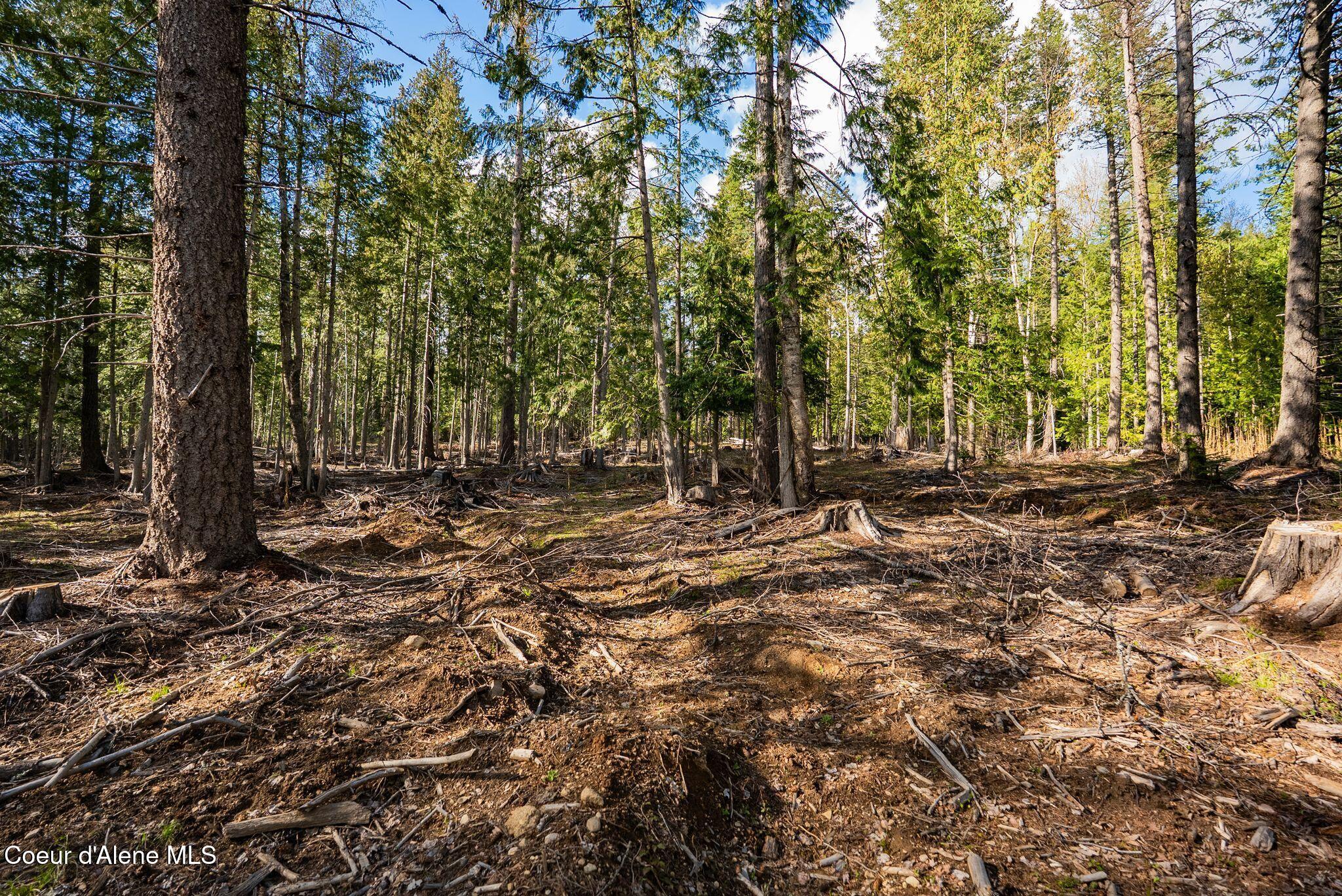 13259 Baldy Mountain Road Sandpoint, ID 83864 - Photo 48 of 50 48_DSC06771