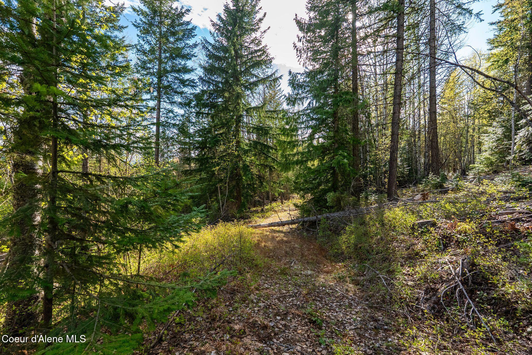 13259 Baldy Mountain Road Sandpoint, ID 83864 - Photo 50 of 50 50_DSC06796