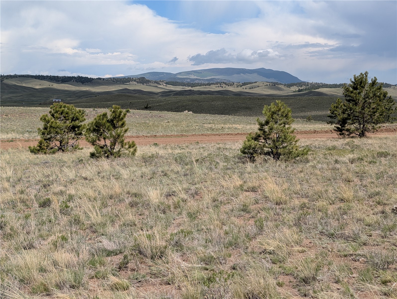 0 Black Beaver Road Hartsel, CO 80449 - Photo 22 of 28 Gallery Image 22