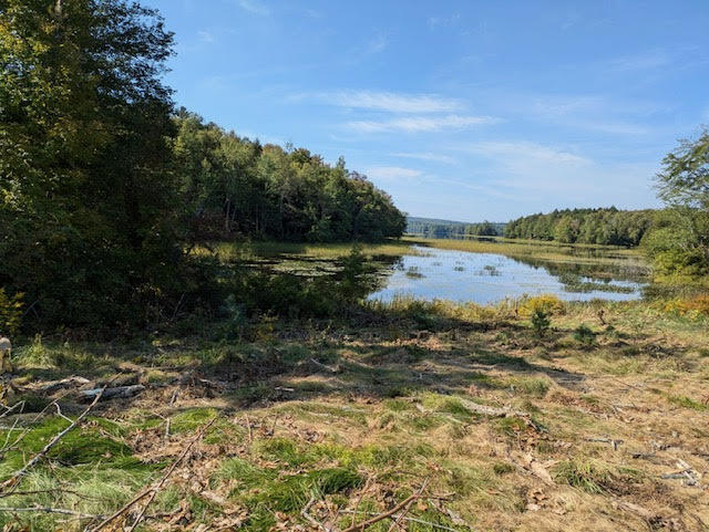 140 Pleasant Street Thorndike, ME 04986 - Photo 67 of 67 View of Pond