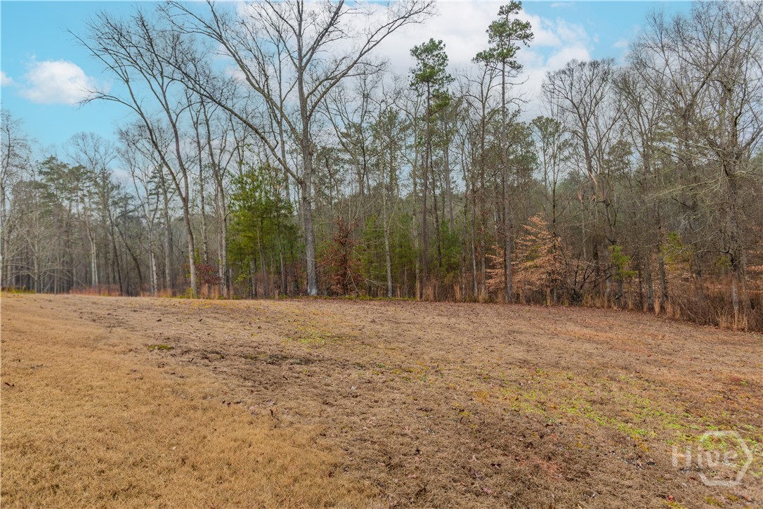 153 Shadyfield Lane Bishop, GA 30621 - Photo 36 of 45