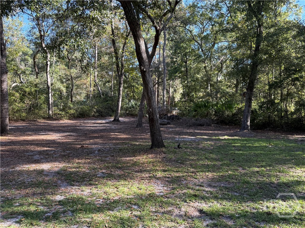 105 Shad Road Bloomingdale, GA 31302 - Photo 17 of 26