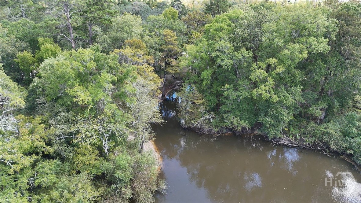 105 Shad Road Bloomingdale, GA 31302 - Photo 10 of 26