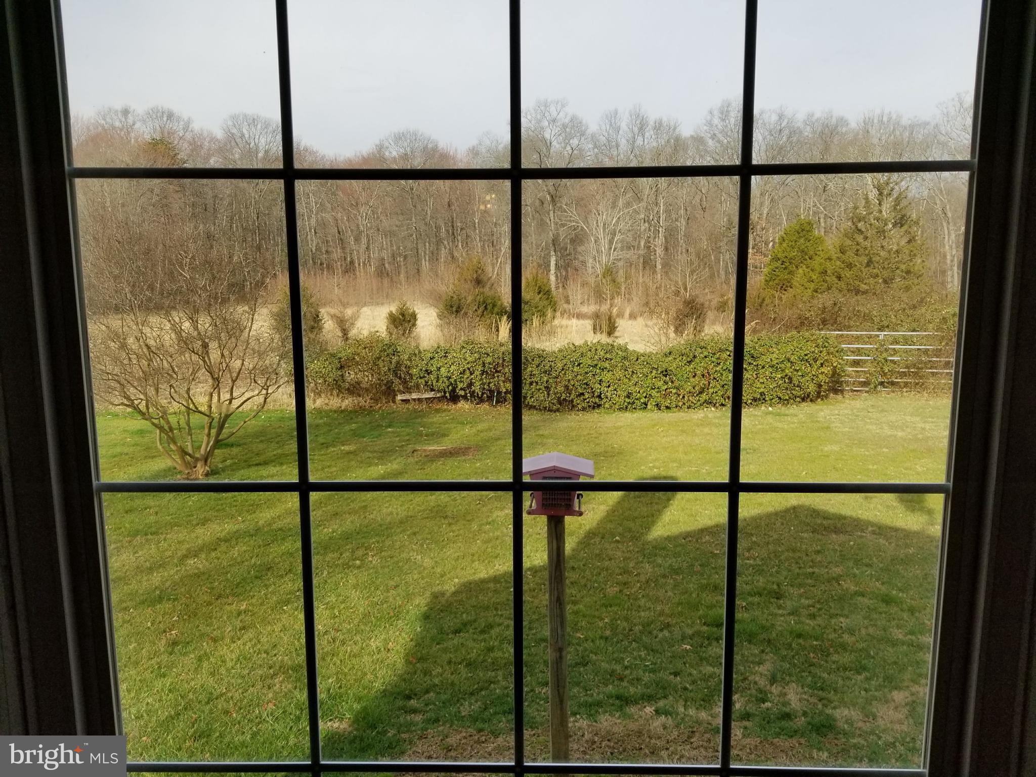 8194 Greenwich Road Catlett, VA 20119 - Photo 11 of 19 Bay Window View