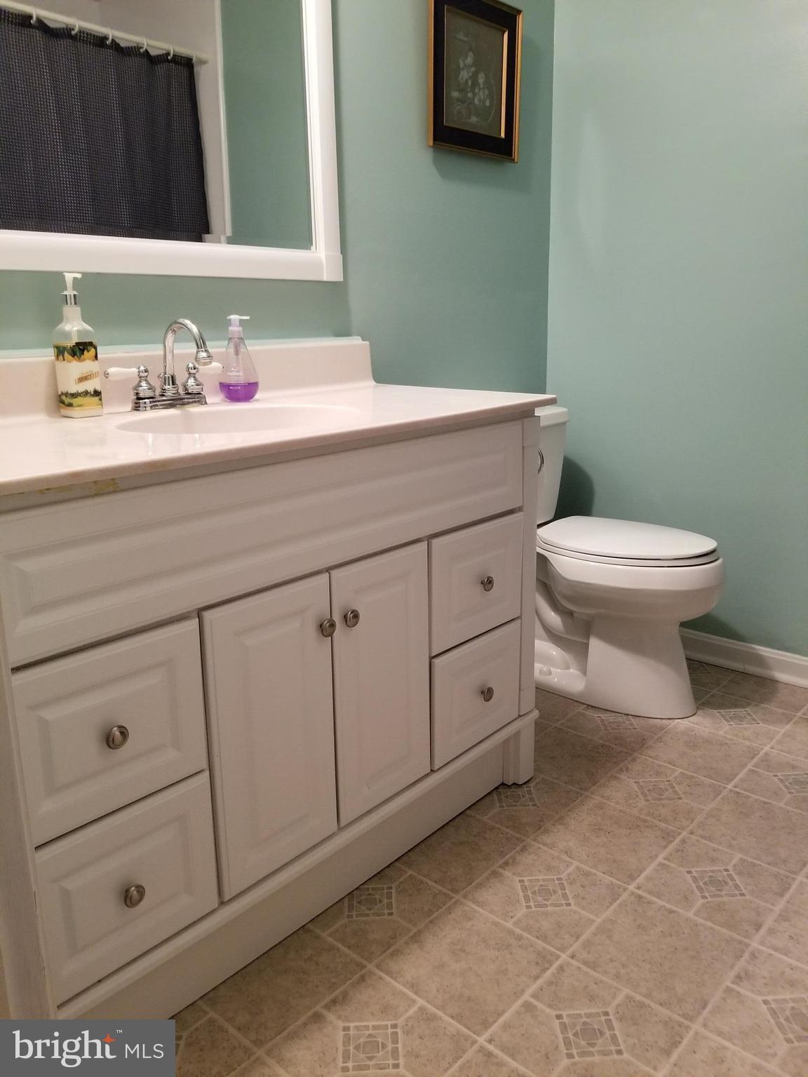 8194 Greenwich Road Catlett, VA 20119 - Photo 17 of 19 Updated Hall Bath