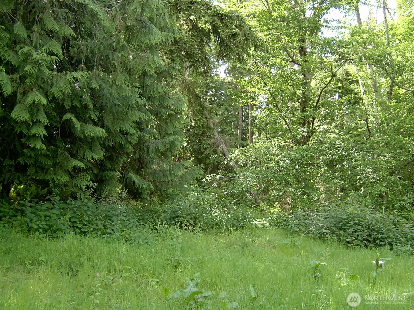 7992 Maple Point Drive Clinton, WA 98236 - Photo 7 of 25 Gallery Image 7