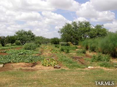5310 East Edwin Road Tucson, AZ 85739 - Photo 7 of 9 Gallery Image 7