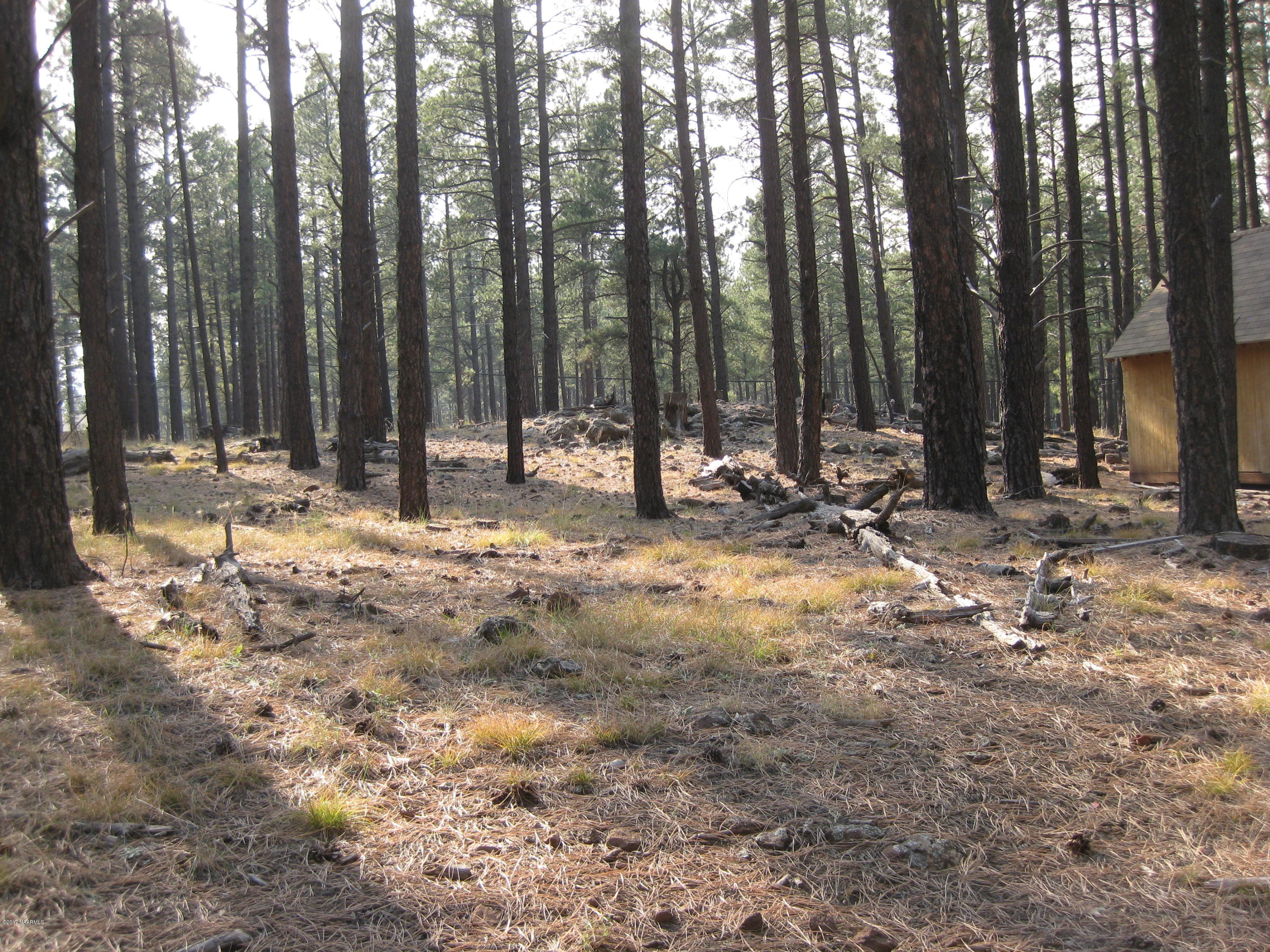 6836 North Sanderson Pass Road Parks, AZ 86018 - Photo 1 of 9 IMG_2129