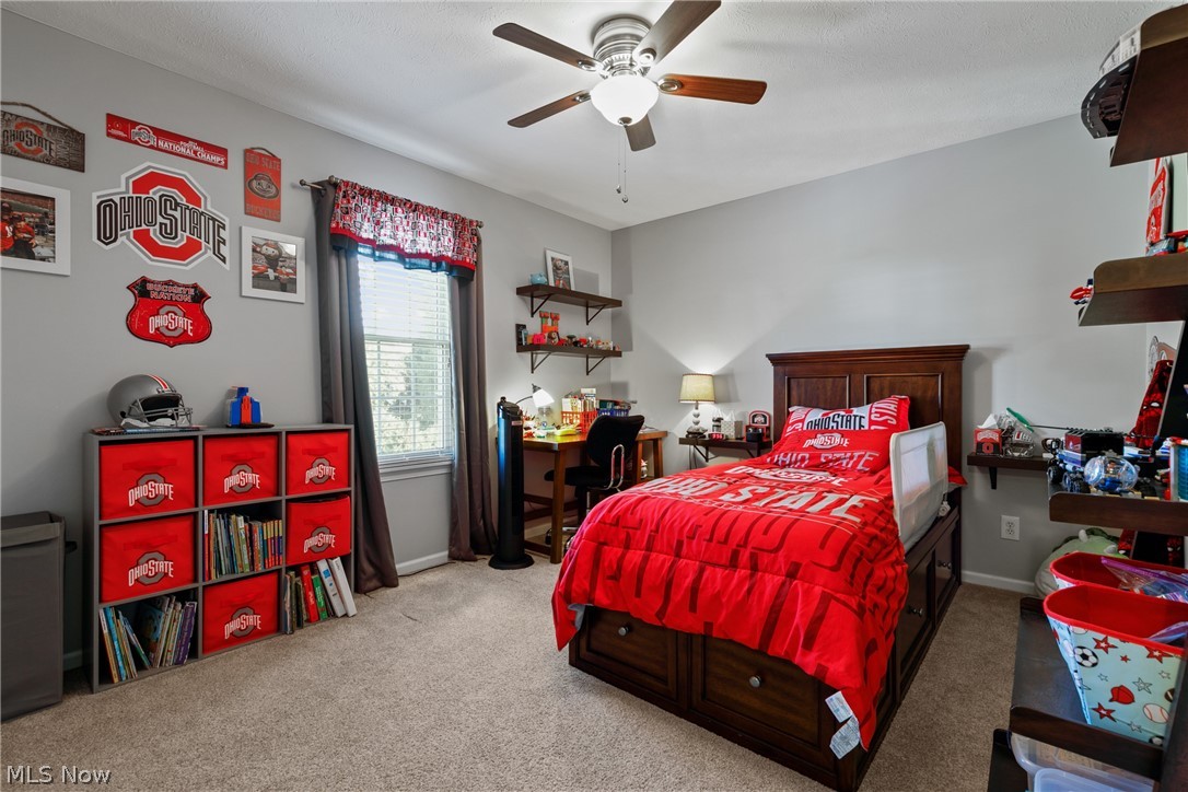 3967 Logans Way Perry, OH 44081 - Photo 23 of 35 Gallery Image 23