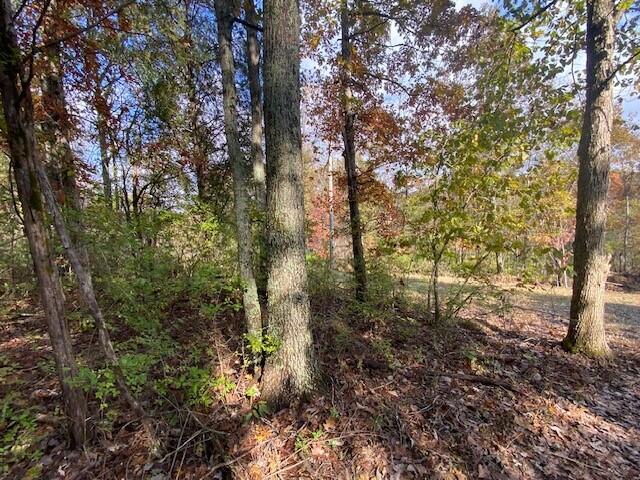 817 Galbraith Road Brooksville, KY 41004 - Photo 5 of 5